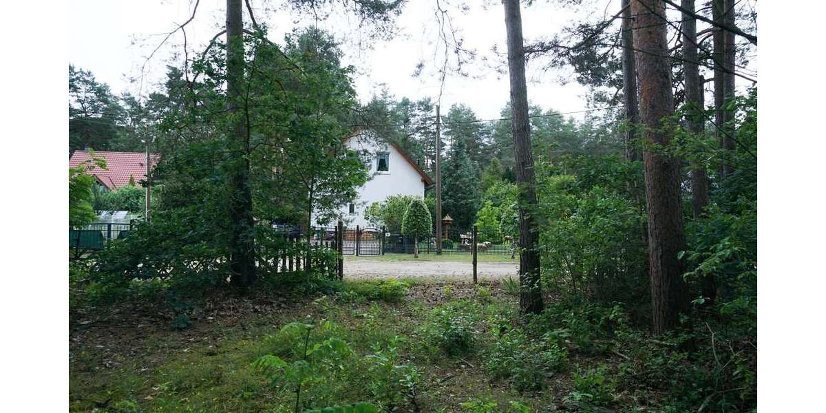 Grundstück Borkwalde - 9.000&euro; | Angebot:16168941