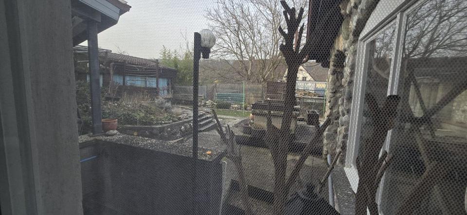 Einfamilienhaus Aach - 6 Zimmer, 220 m&sup2;, 2.000&euro; | Angebot:25420869