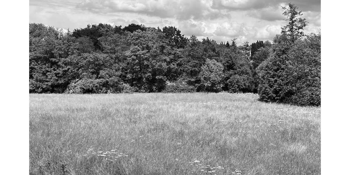 Grundstück zu verkaufen in Frankfurt am Main 4.200.000 € 5084 m² zimmer