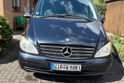 Mercedes Viano