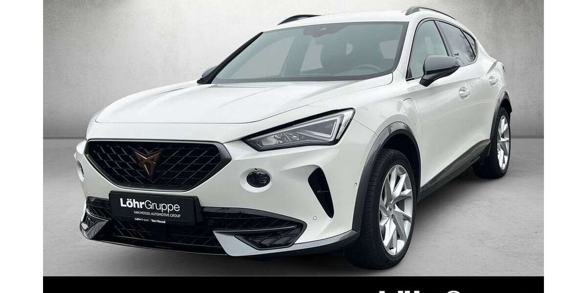 Cupra Formentor 47.491 km 25.880 &euro; Mainz 55120