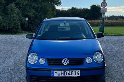 VW Polo
