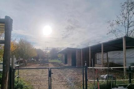 Haus Seelow - 3 Zimmer, 92 m&sup2;, 480.000&euro; | Angebot:25056266