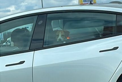 Tesla Model 3 20.000 km 730.000 &euro; Kleinmachnow 14532