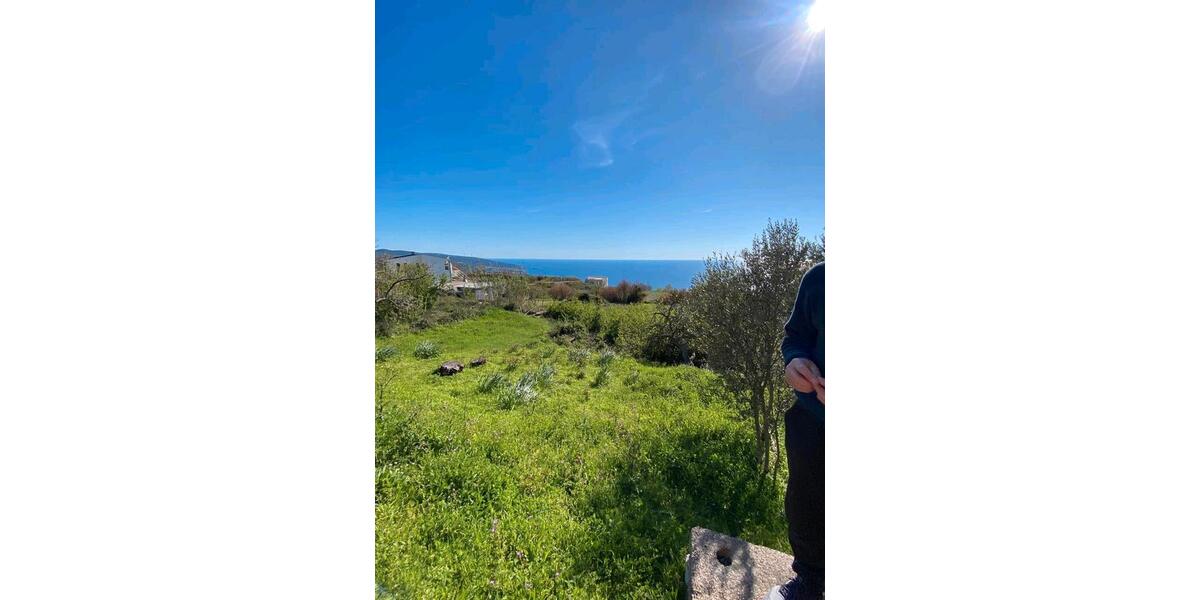 Einfamilienhaus Dresden Neustadt - 50.000&euro; | Angebot:26337572