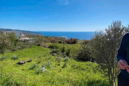 Haus Dresden Neustadt - 50.000&euro; | Angebot:26337572