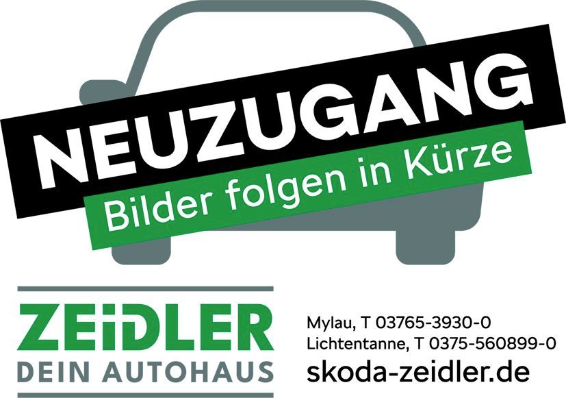 Skoda Octavia 36.300 km 31.850 &euro; Mylau 08499