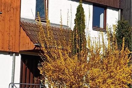 Reihenhaus in 73108 Gammelshausen zu vermieten