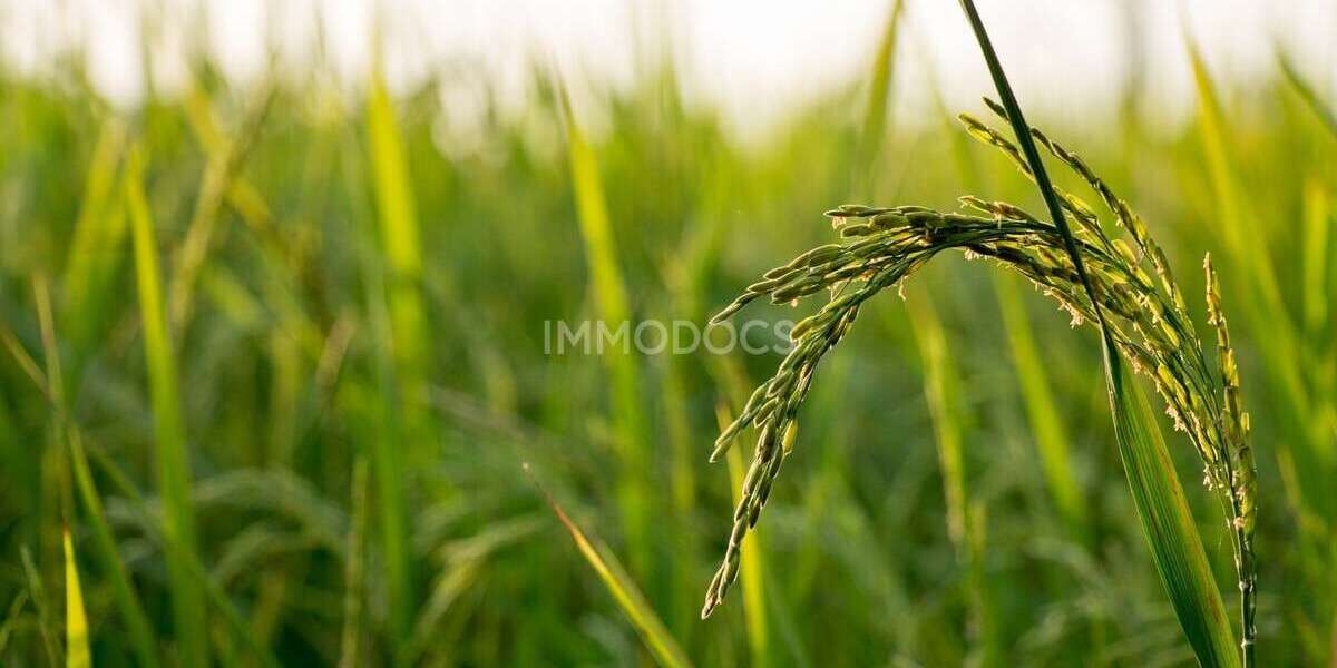 Grundstück Dietmannsried - 469.000&euro; | Angebot:24595411