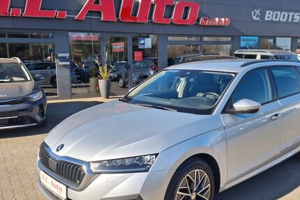 Skoda Octavia 118.630 km 19.990 &euro; Perleberg 19348