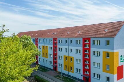 2 Raumwohnung mit Aufzug und Balkon zimmer