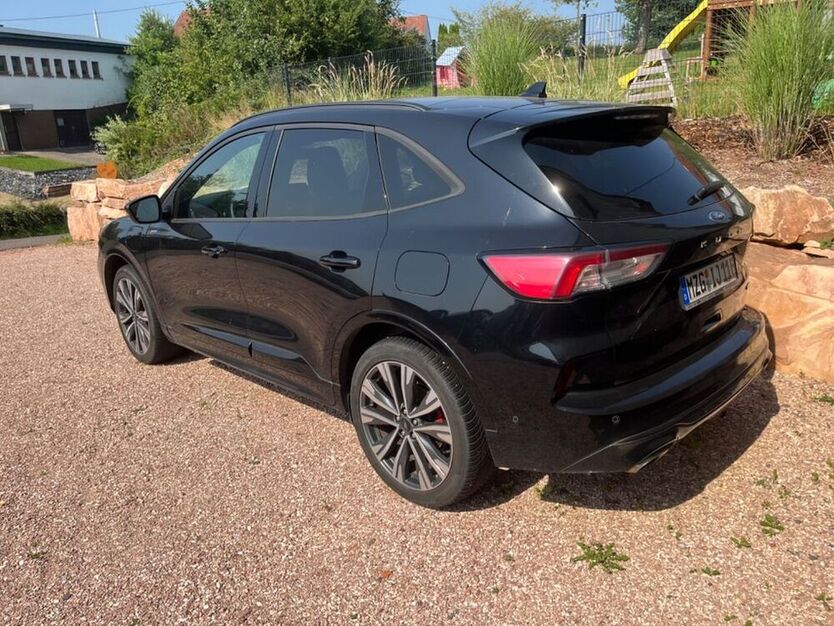 Kuga