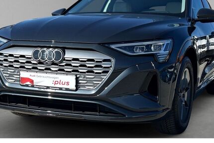Audi Q8 21.890 km 66.540 &euro; Traunstein 83278