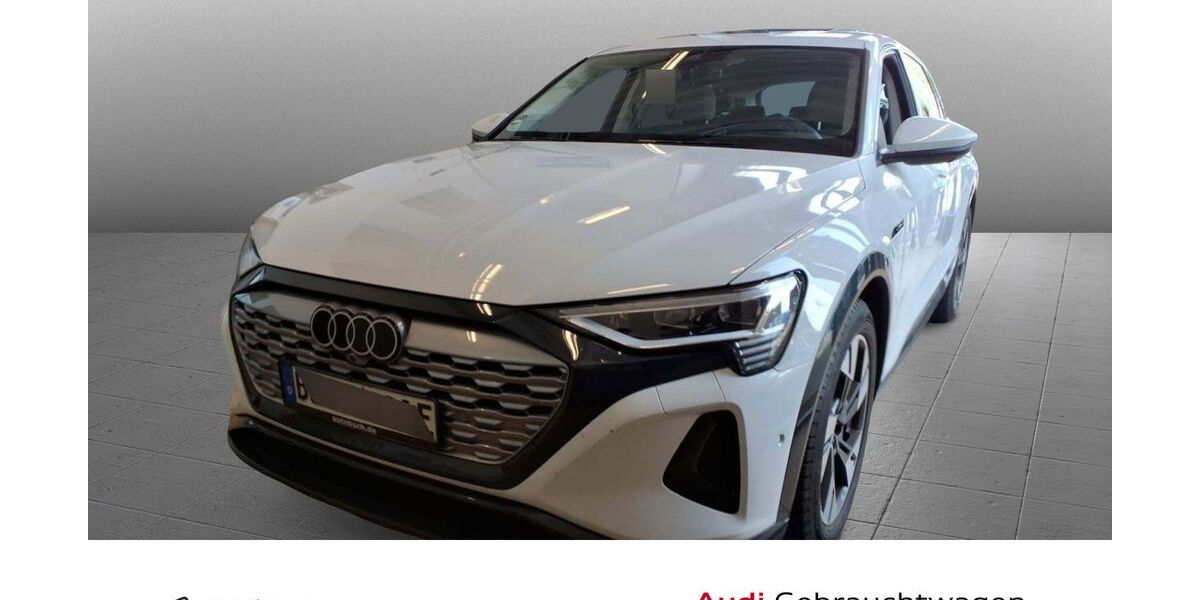 Audi Q8 59.130 km 41.970 &euro; Diez 65582