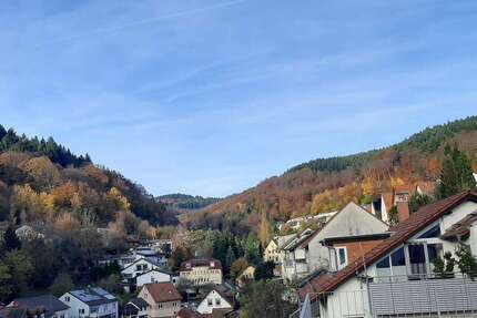 Wohnung Heidelberg Peterstal - 4 Zimmer, 117 m&sup2;, 1.750&euro; | Angebot:25235242