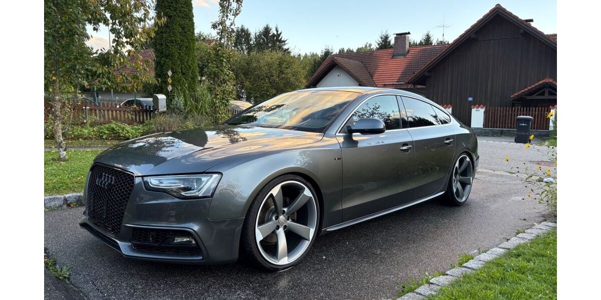 Audi A5 148.000 km 19.000 &euro; Regen 94209