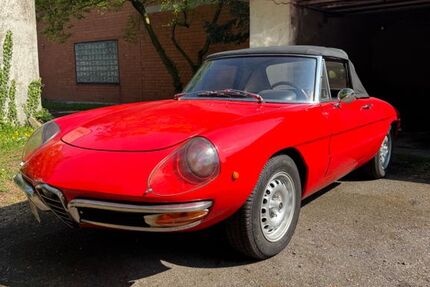 Alfa Romeo Spider