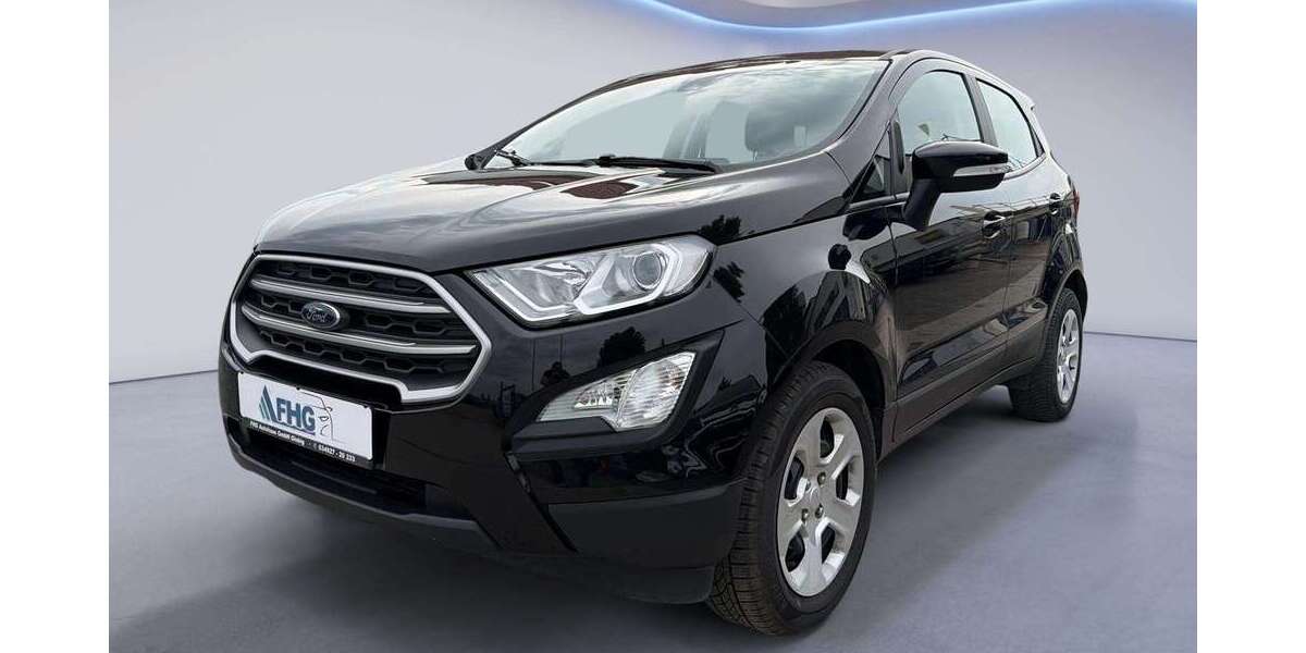 Ford EcoSport 75.000 km 12.900 &euro; Kemberg OT Globig 06901