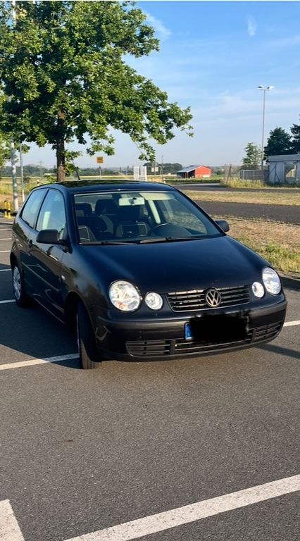 Polo