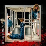 Und über uns der große Wagen