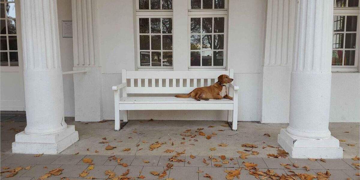 Gewerbeobjekt Bergkamen Rünthe - 220.000&euro; | Angebot:25534468