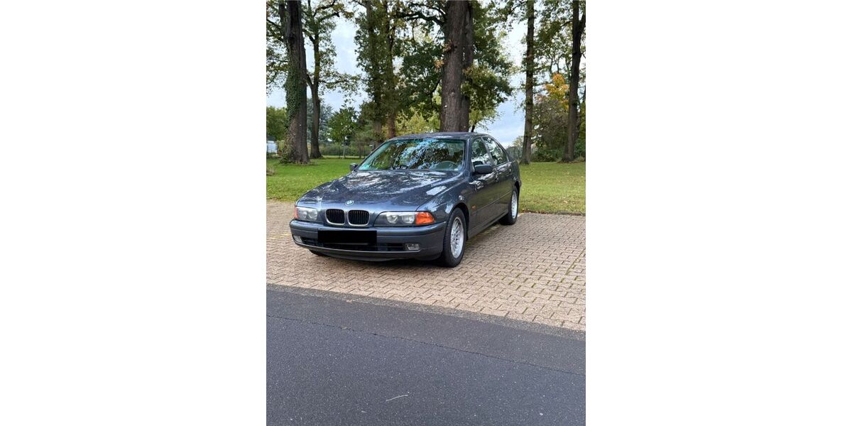 BMW 520 173.300 km 10.000 &euro; Dirmstein 67246