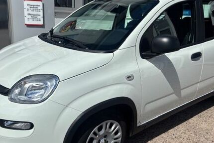 Fiat Panda 10.804 km 12.950 &euro; Bad Oldesloe 23843