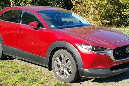 Mazda CX-30 17.800 km 21.000 &euro; Walsrode 29664