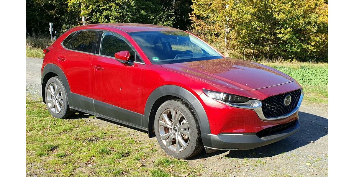 Mazda CX-30 17.800 km 21.000 &euro; Walsrode 29664