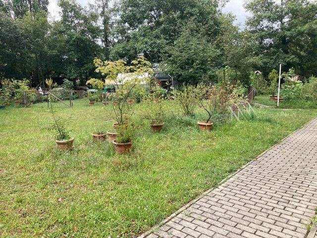 Etagenwohnung Lauta Torno - 2 Zimmer, 60 m&sup2;, 360&euro; | Angebot:25694755
