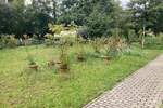 Etagenwohnung Lauta Torno - 2 Zimmer, 60 m&sup2;, 360&euro; | Angebot:25694755