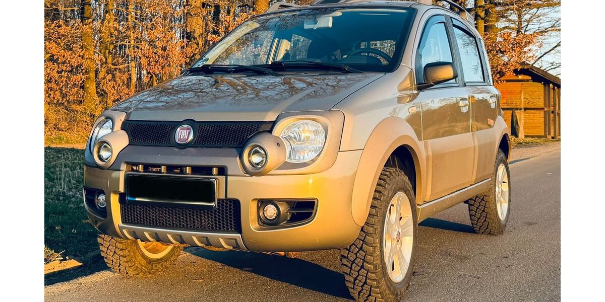Fiat Panda 120.361 km 7.490 &euro; Altenahr 53505