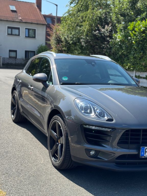 Macan