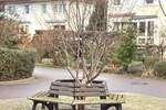 Reihenmittelhaus Leipzig Baalsdorf - 5 Zimmer, 160 m&sup2;, 345.000&euro; | Angebot:25687365