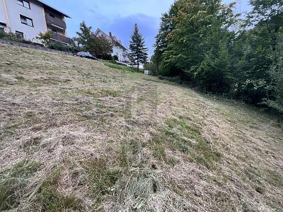 SCHÖNE AUSSICHTEN FÜR EIN GEMEINSAMES ZUHAUSE - Grundstück Weisenbach | Angebot:26340435