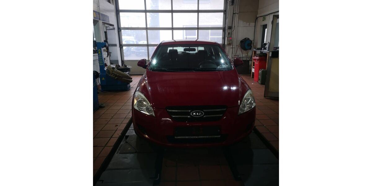 Kia ceed / Ceed 186.000 km 2.000 &euro; Gelsenkirchen 45892