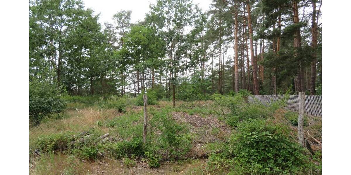 Grundstück Mittenwalde Töpchin - 68.650&euro; | Angebot:25667921