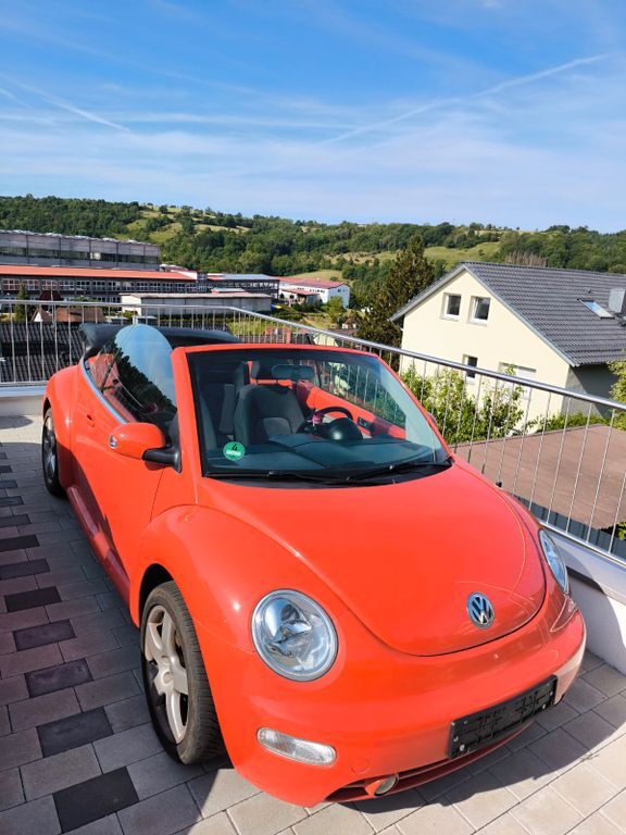 Beetle