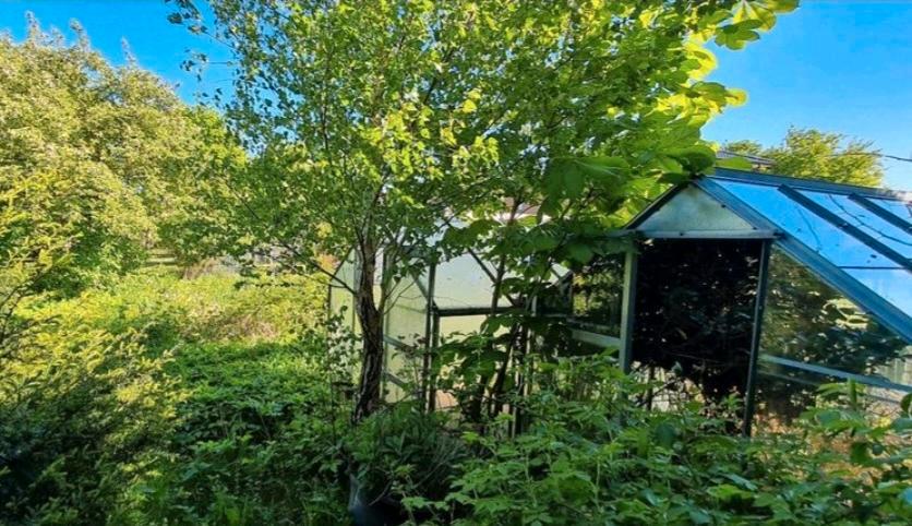 Einfamilienhaus Glückstadt - 149.000&euro; | Angebot:24354842