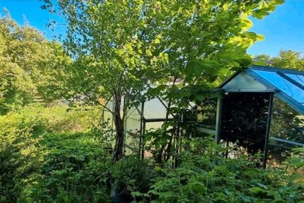 Haus Glückstadt - 149.000&euro; | Angebot:24354842