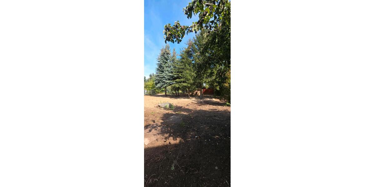 Bauernhaus, Landhaus Jüterbog - 6 Zimmer, 600 m&sup2;, 140.000&euro; | Angebot:27403556