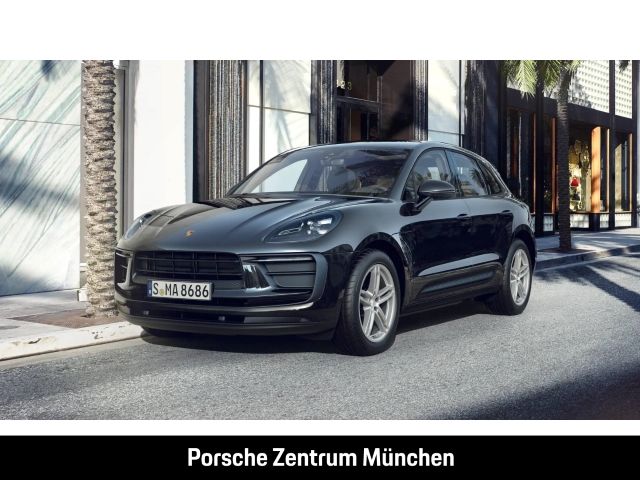 Macan