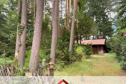Grundstück Hitzacker (Elbe) - 49.000&euro; | Angebot:27169620