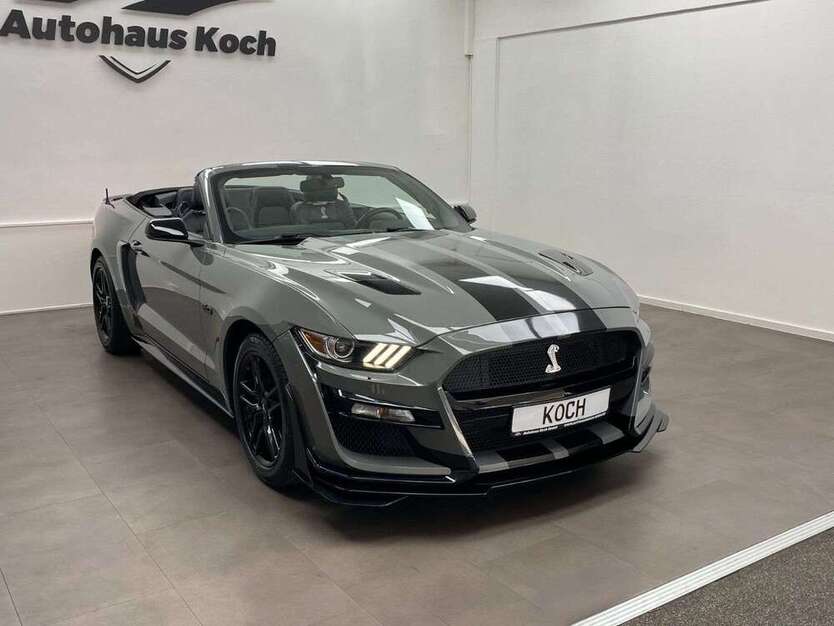 Mustang