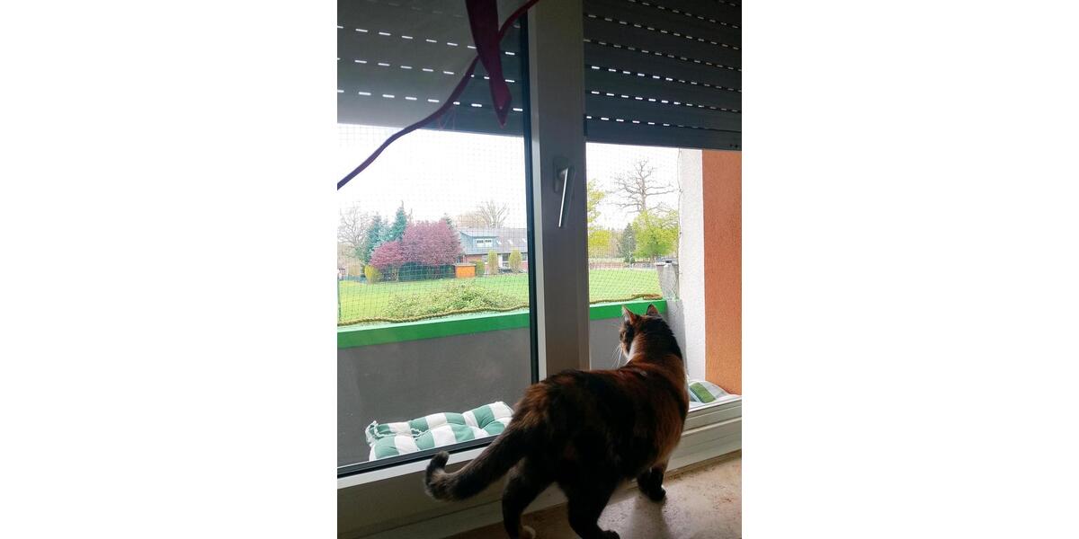 Etagenwohnung Rehburg-Loccum Loccum - 1 Zimmer, 18 m&sup2;, 350&euro; | Angebot:26269917