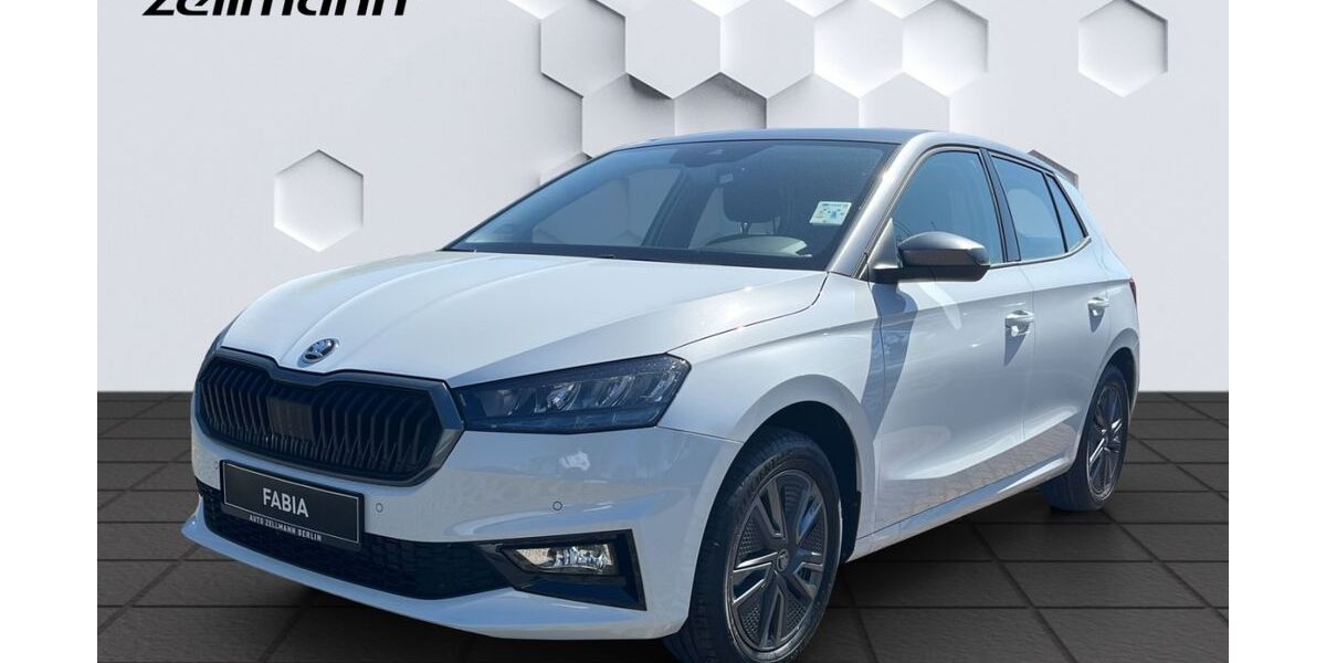 Skoda Fabia 1.500 km 23.968 &euro; Berlin 12524