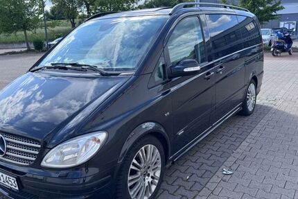 Mercedes Viano