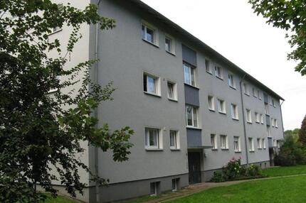 Hier könnte Ihr neues Zuhause warten