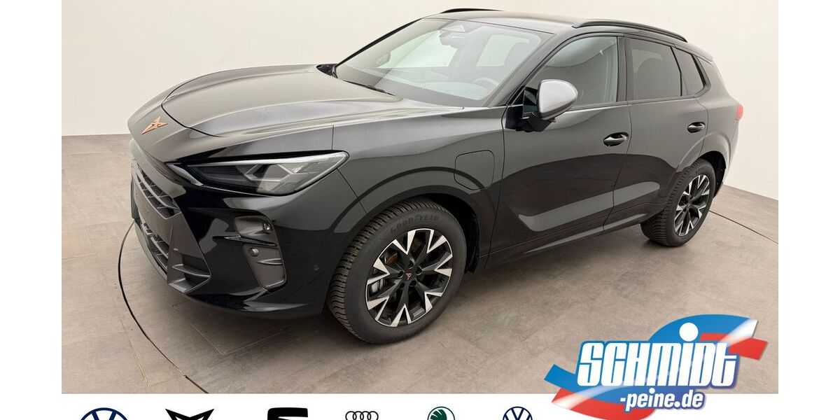 Cupra Terramar 25.130 km 36.900 &euro; Peine 31226