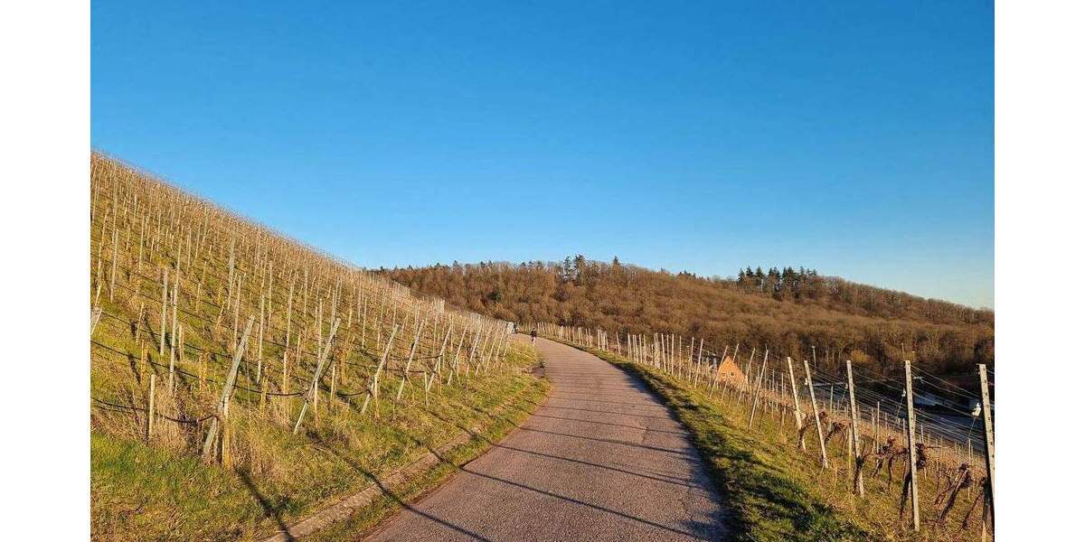 Grundstück zum Kauf provisionsfrei zimmer